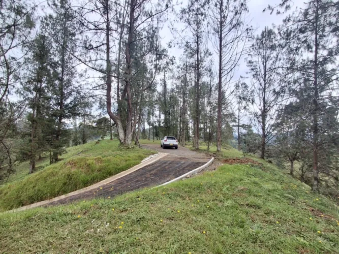 Lote en venta en Pantanillo, El Retiro, 10000 m² · foto 3 de 13