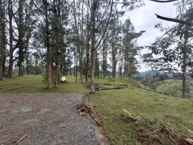 Lote en venta en Pantanillo, El Retiro, 10000 m² · foto 4 de 13