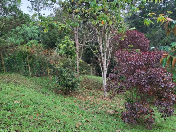 Lote en venta en Pantanillo, El Retiro, 10000 m² · foto 5 de 13