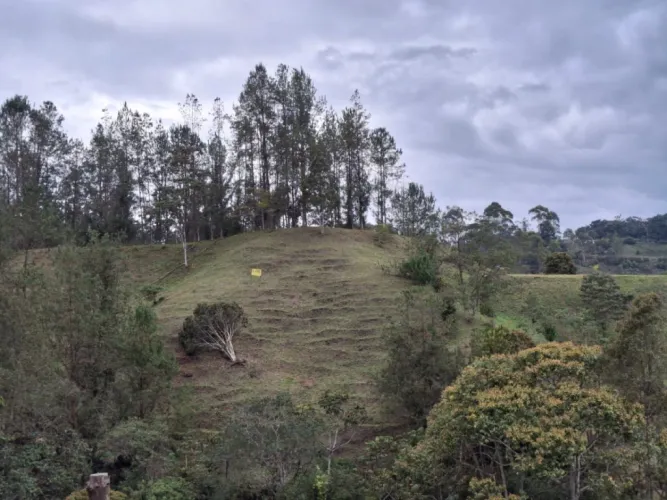 Lote en venta en Pantanillo, El Retiro, 10000 m² · foto 7 de 13