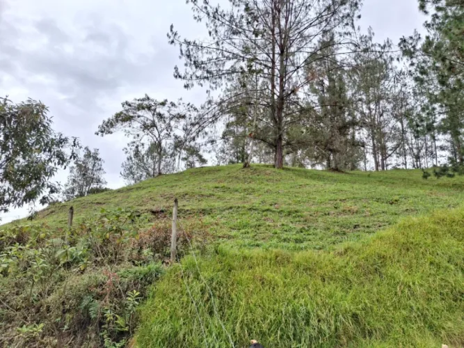 Lote en venta en Pantanillo, El Retiro, 10000 m² · foto 8 de 13