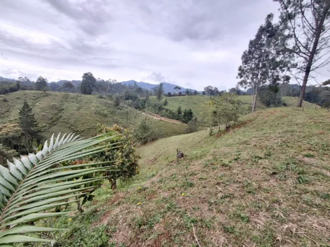 Lote en venta en Pantanillo, El Retiro, 10000 m² · foto 9 de 13