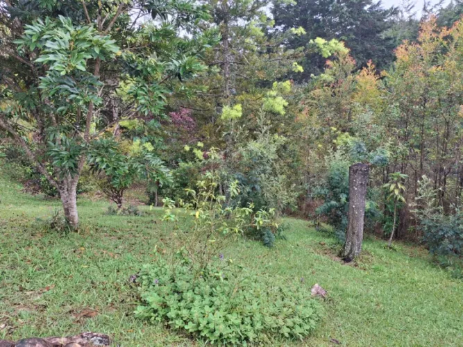 Lote en venta en Pantanillo, El Retiro, 10000 m² · foto 10 de 13