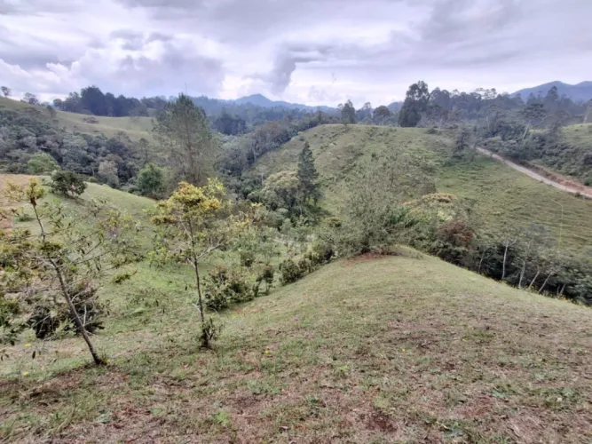 Lote en venta en Pantanillo, El Retiro, 10000 m² · foto 12 de 13