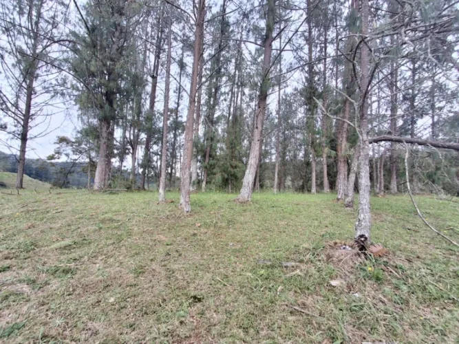 Lote en venta en Pantanillo, El Retiro, 10000 m² · foto 13 de 13