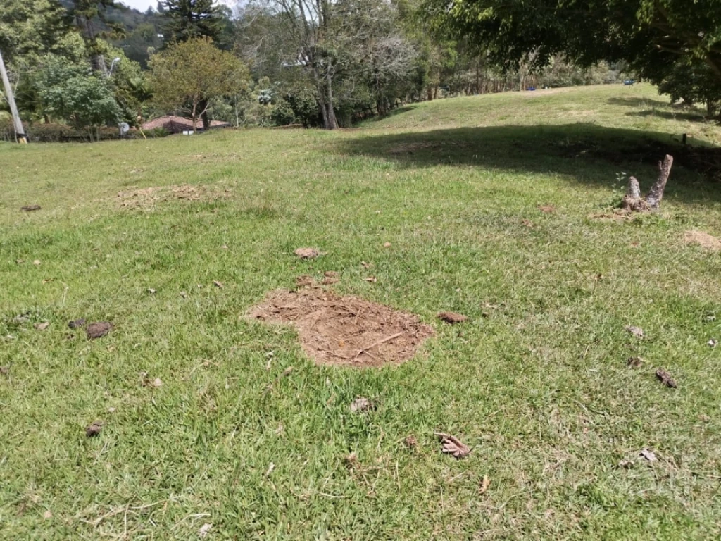 Land in Lejos del nido for Sale - 2