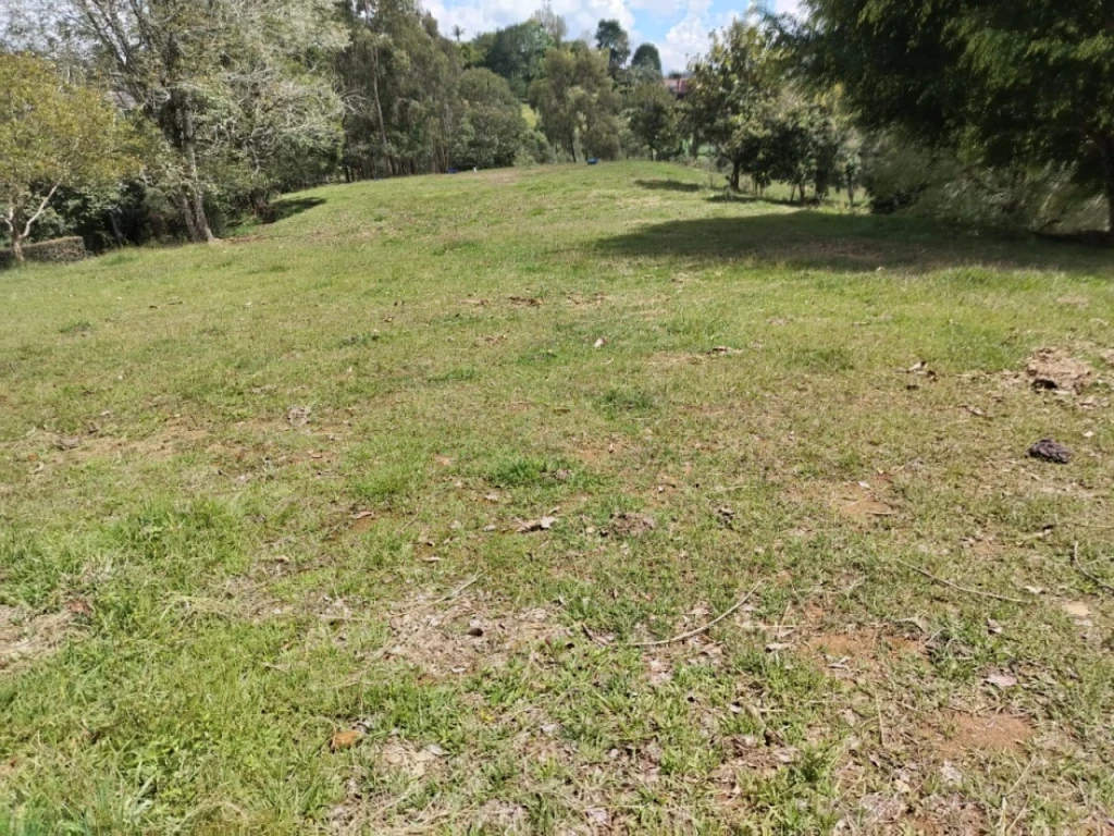 Land in Lejos del nido for Sale - 3