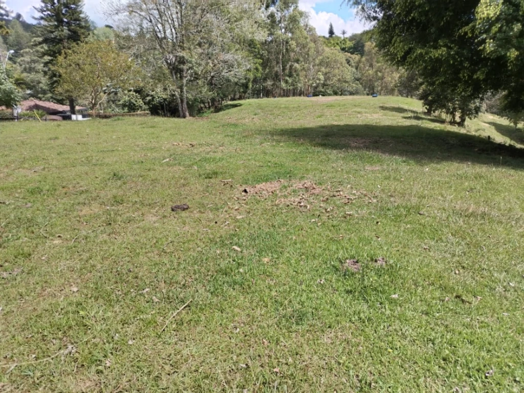 Land in Lejos del nido for Sale - 4