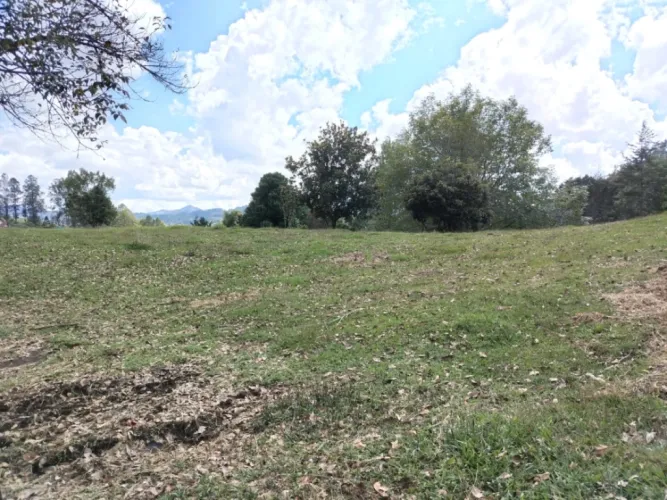 Lote en venta en El Chuscal, El Retiro, 10000 m² · foto 5 de 5