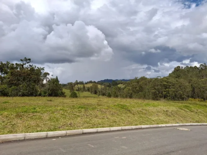 Lote en venta en Santa Elena, El Retiro, 2916 m² · foto 6 de 14
