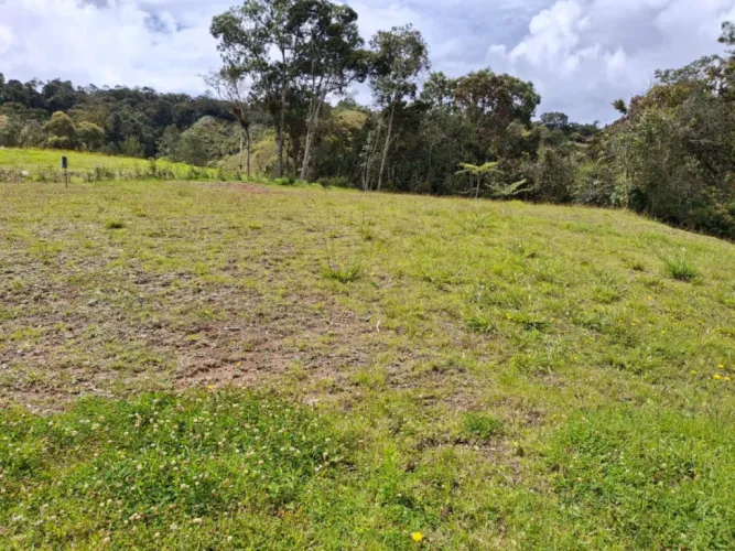 Lote en venta en Santa Elena, El Retiro, 2916 m² · foto 7 de 14