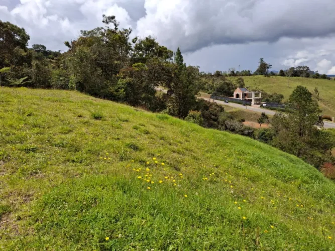 Lote en venta en Santa Elena, El Retiro, 2916 m² · foto 8 de 14