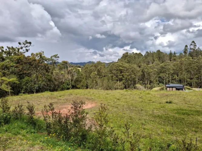 Lote en venta en Santa Elena, El Retiro, 2916 m² · foto 11 de 14