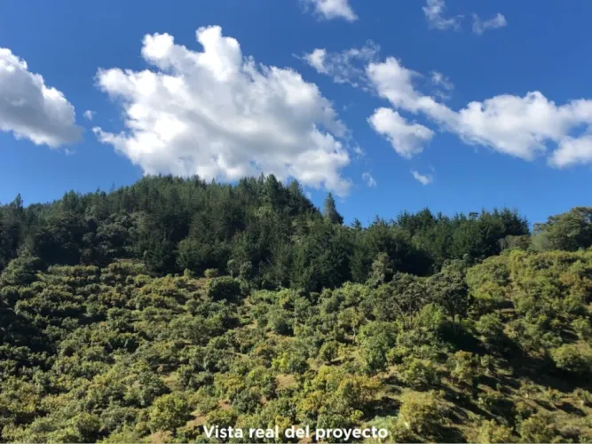 Lote en venta en Pantanillo, El Retiro, 2929 m² · foto 5 de 10