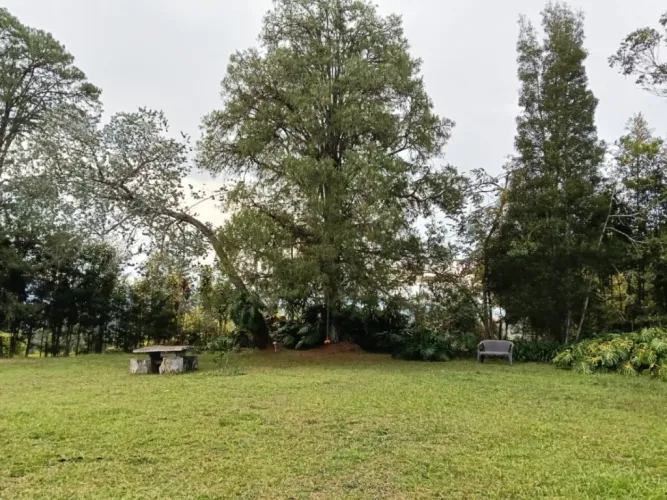 Finca en venta en Ca�O Siete, Rionegro, 220 m² · foto 7 de 14