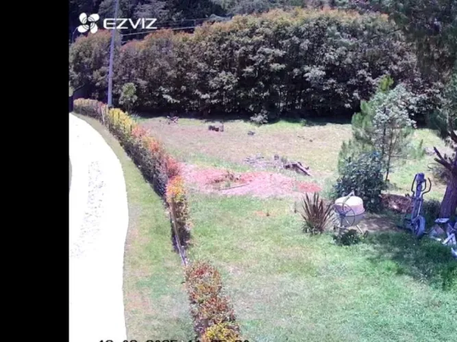 Lote en venta en El Chuscal, El Retiro, 5000 m² · foto 4 de 6