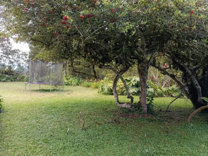 Finca en venta en Ca�O Siete, Rionegro, 220 m² · foto 8 de 14