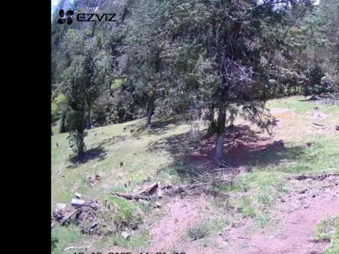 Lote en venta en El Chuscal, El Retiro, 5000 m² · foto 5 de 6