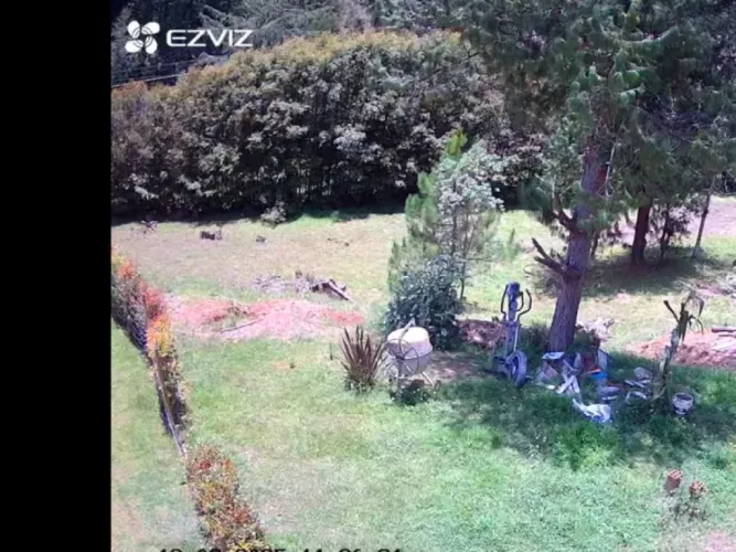 Lote en venta en El Chuscal, El Retiro, 5000 m² · foto 6 de 6