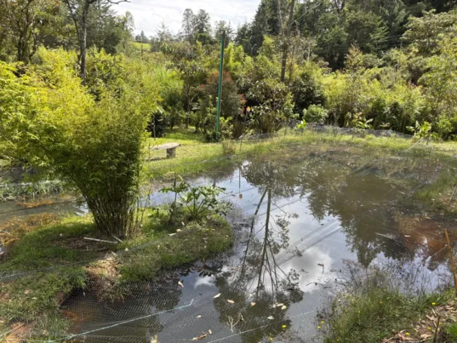 Finca en venta en Don Diego, El Retiro, 380 m² · foto 12 de 20