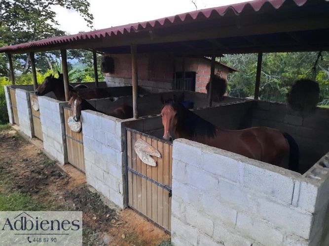 Finca en venta en Copacabana, 250 m² · foto 10 de 11
