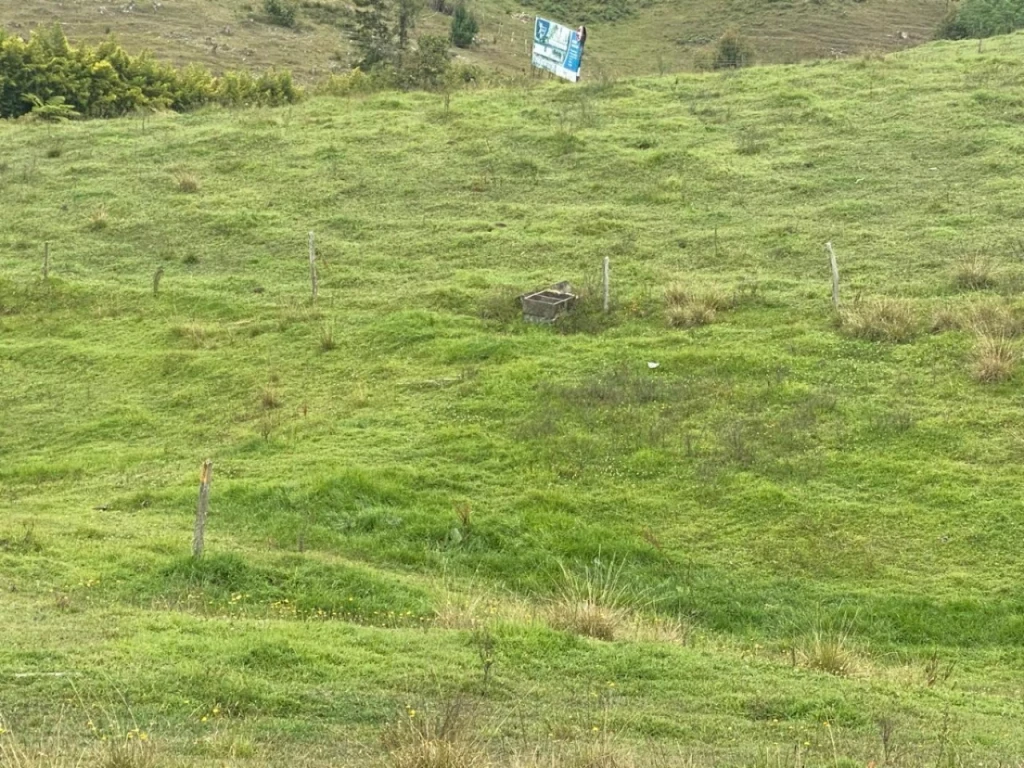 Land in Pantanillo (5000 m²) for Sale
