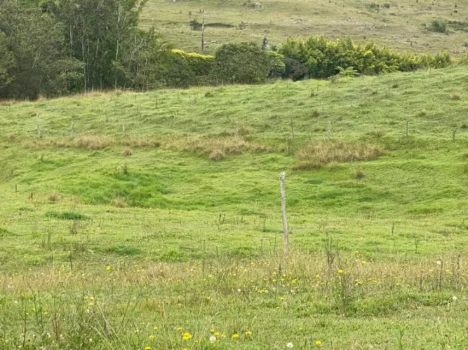 Lote en venta en Pantanillo, El Retiro, 5000 m² · foto 2 de 3