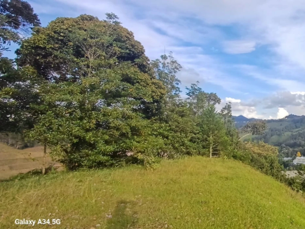Land in Santa Elena for Sale - 2