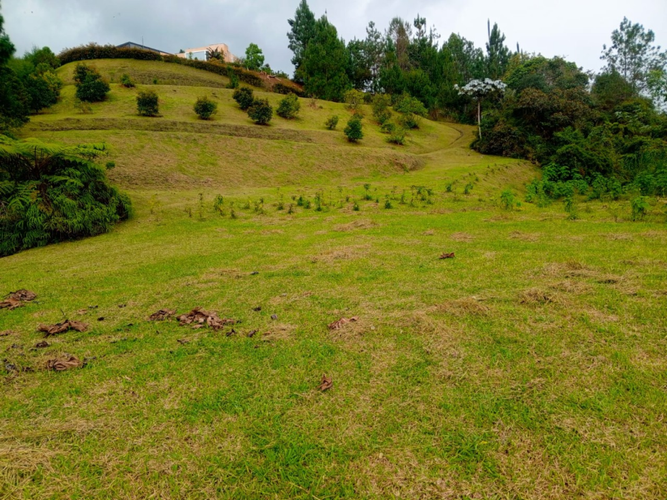 Lote en venta en Pantanillo, El Retiro, 5320 m² · foto 2 de 15