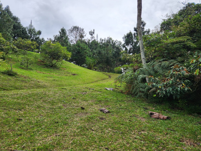 Lote en venta en Pantanillo, El Retiro, 5320 m² · foto 6 de 15