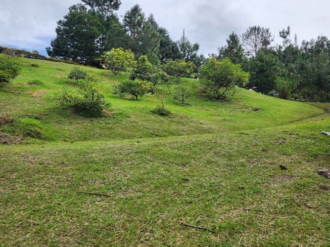 Lote en venta en Pantanillo, El Retiro, 5320 m² · foto 8 de 15