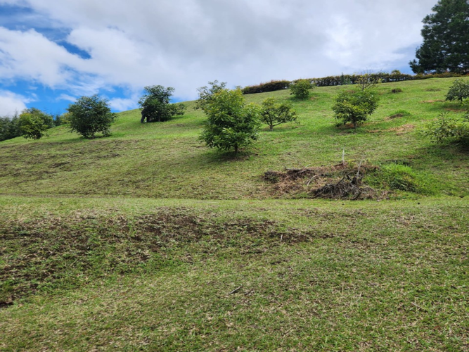 Lote en venta en Pantanillo, El Retiro, 5320 m² · foto 9 de 15
