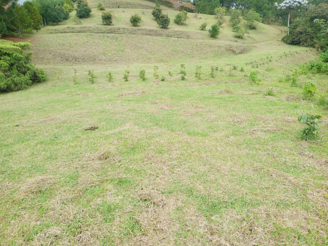 Lote en venta en Pantanillo, El Retiro, 5320 m² · foto 13 de 15