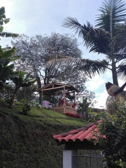 Finca en venta en Caribe, Medellín, 500 m² · foto 16 de 17