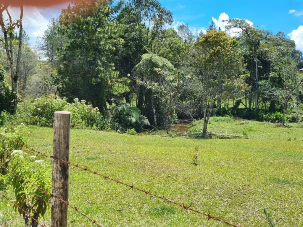 Land in Pantanillo for Sale