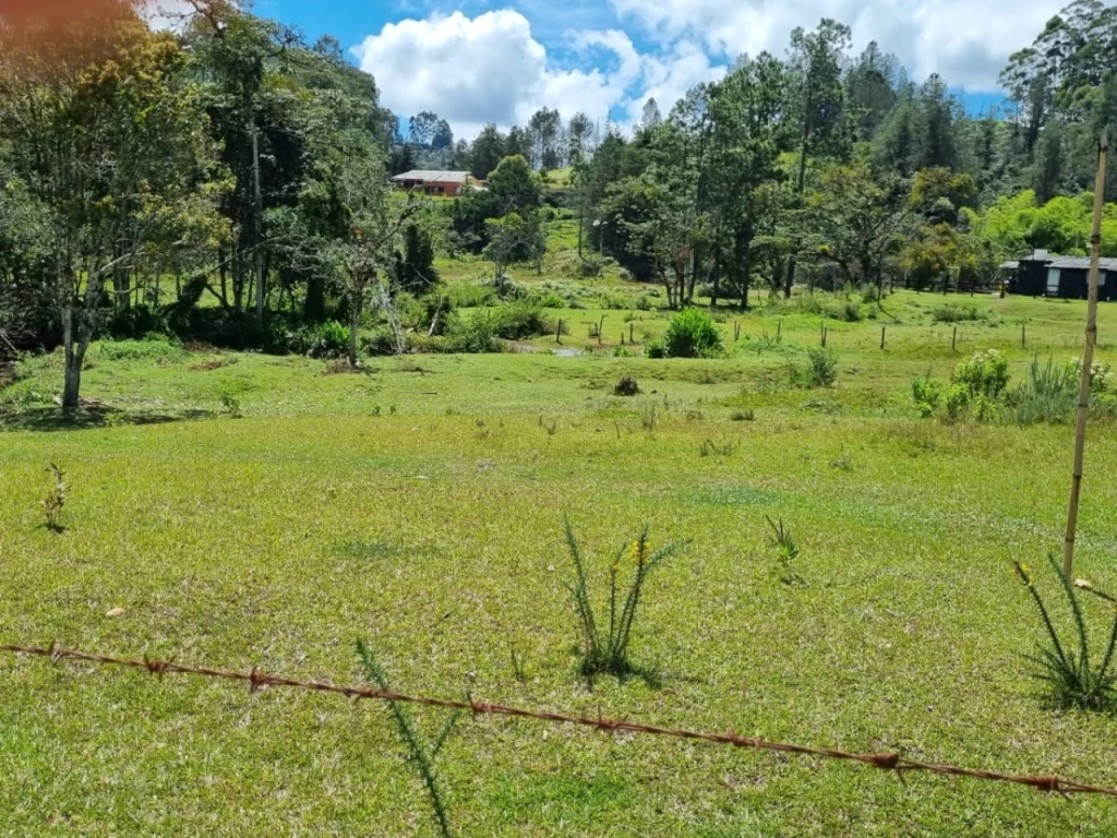 Land in Pantanillo for Sale - 2