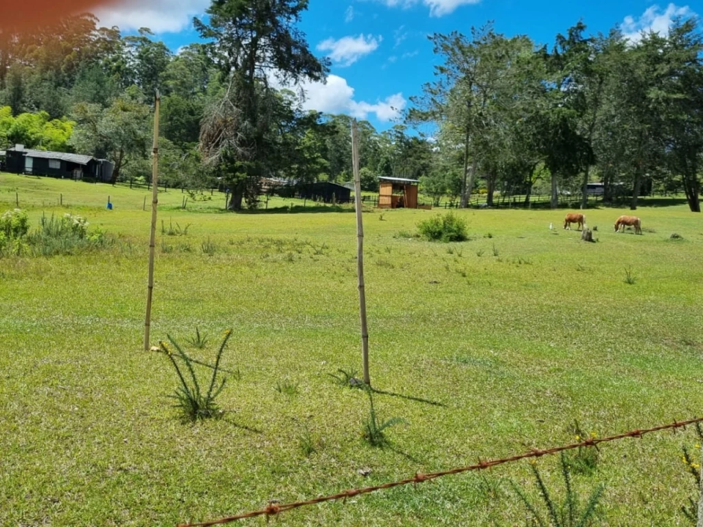 Land in Pantanillo for Sale - 3