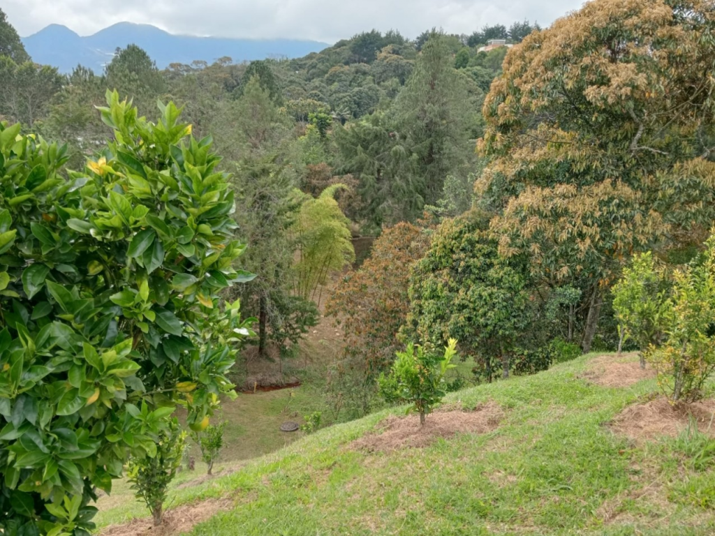 Bild 2 der in Medellín angebotenen Immobilie