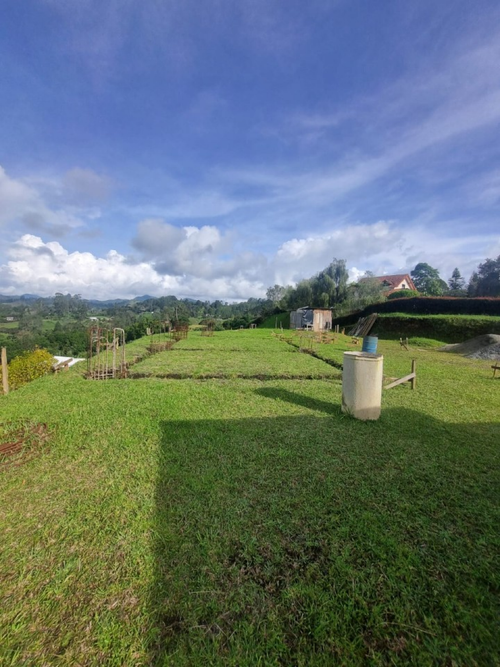 Lote en venta en Santa Elena, El Retiro, 2000 m² · foto 9 de 10