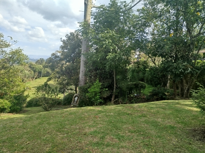 Finca en arriendo en Guapante, Guarne, 300 m² · foto 4 de 18