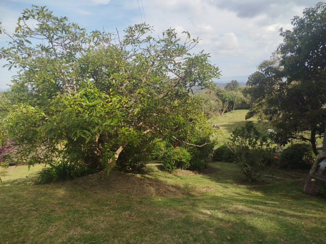 Finca en arriendo en Guapante, Guarne, 300 m² · foto 5 de 18