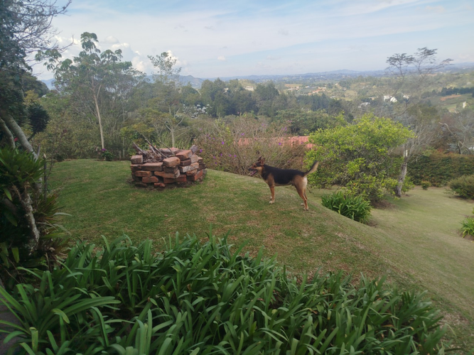 Finca en arriendo en Guapante, Guarne, 300 m² · foto 7 de 18