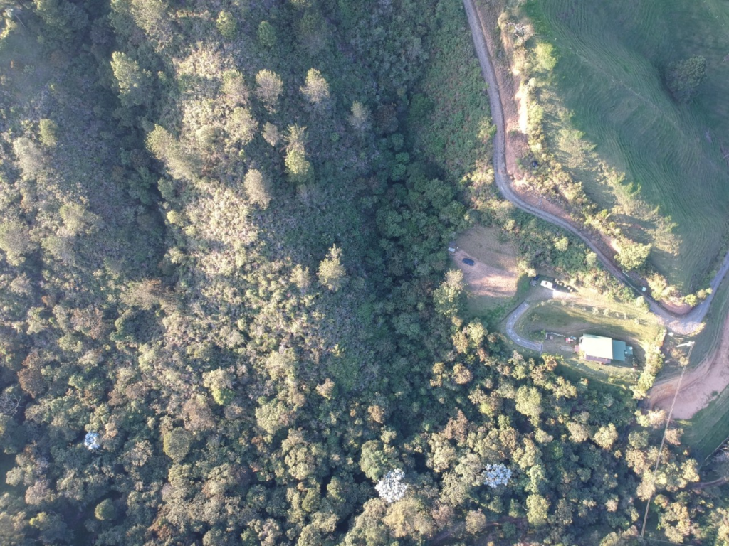 Land in El portento for Sale