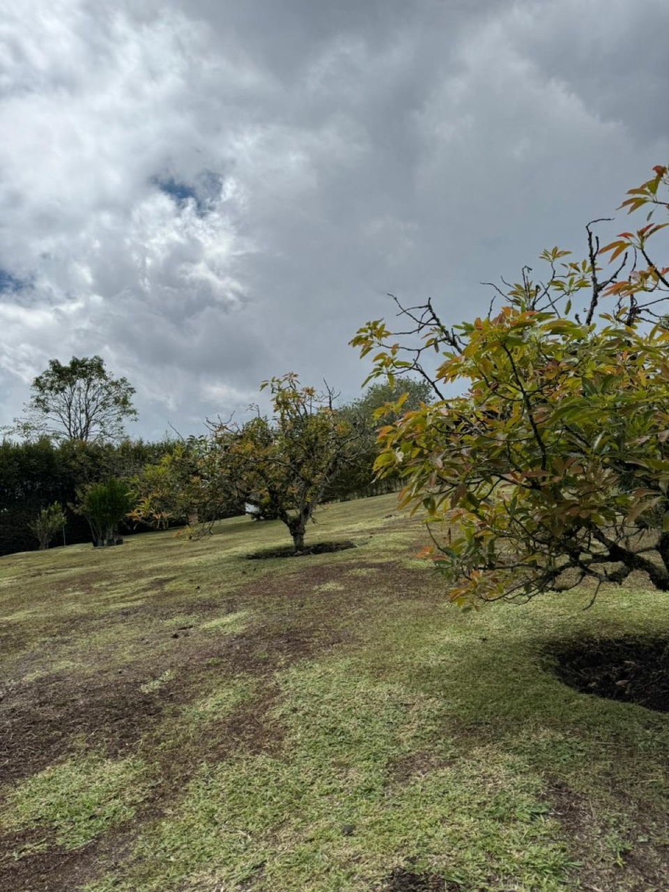 Land in Santa Elena (1500 m²) for Sale