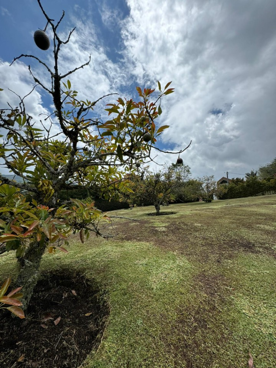 Land in Santa Elena (1500 m²) for Sale - 2