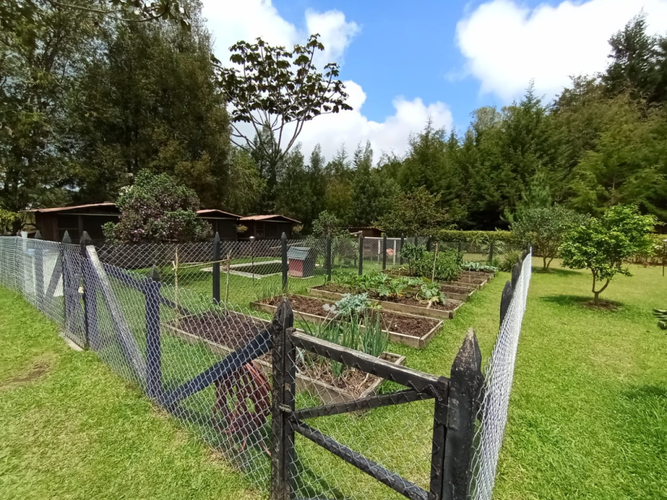 Finca en venta en Amapola, El Retiro, 400 m² · foto 12 de 20