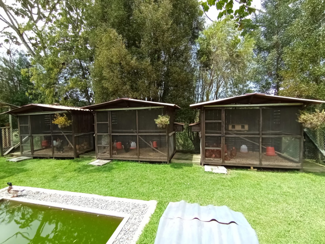 Finca en venta en Amapola, El Retiro, 400 m² · foto 13 de 20
