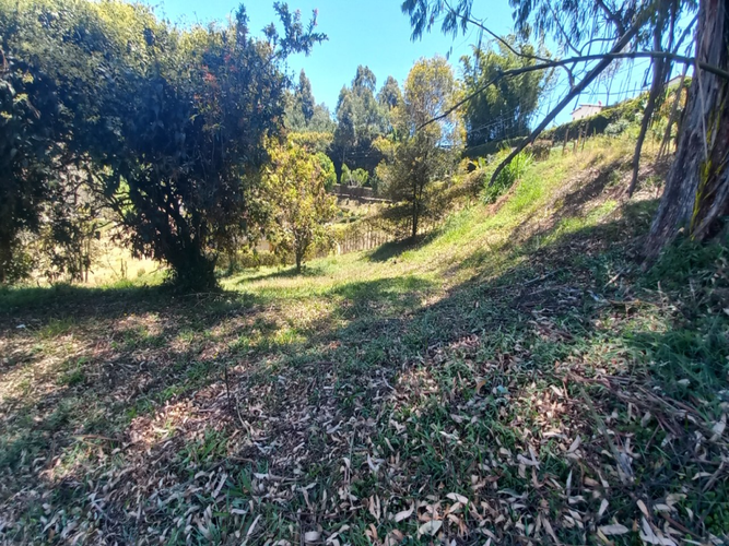Lote en venta en Rionegro, 5079 m² · foto 3 de 7