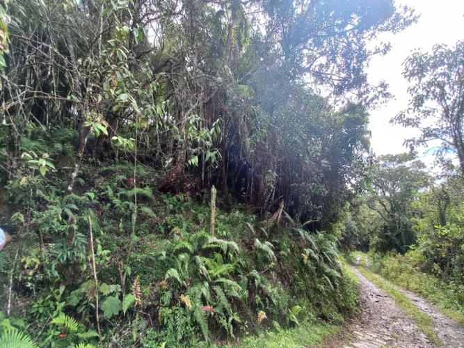 Lote en venta en La Honda, Guarne, 10000 m² · foto 3 de 5
