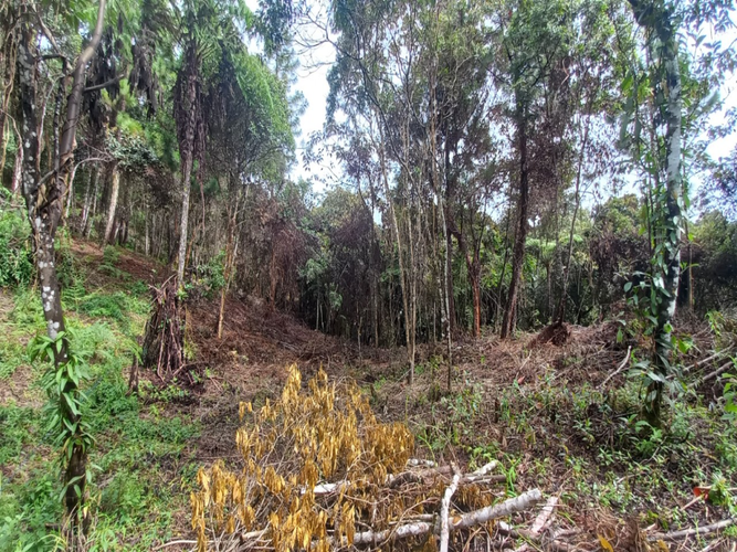 Lote en venta en La Honda, Guarne, 10000 m² · foto 4 de 5